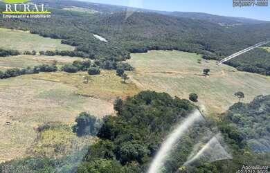 Imagem 10: Fazenda de 308 alqueires em Santa Cruz de Goiás