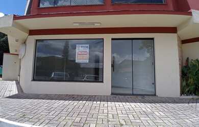 Imagem: O depósito está localizado em Vila Delurdes, Campo Largo para