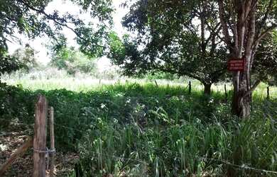 Imagem 8: Lote/Terreno para venda com 980M2 PLANO a 200 metros do asfalto