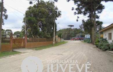 Imagem 4: IMOBILIARIA JUVEVE VENDE AREA TERRENO BAILE DO PATO JD GUARITUBA PIRAQUARA...