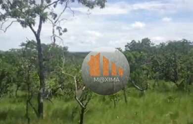 Imagem: A fazenda possui 71.632.000m² de Área e está localizado