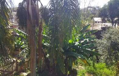 Imagem: A chácara possui 360m² de Área e está localizado em Oficinas