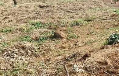 Imagem 1: Terreno à venda no Parque Jaguari Fazendinha , em Santana de Parnaíba,...