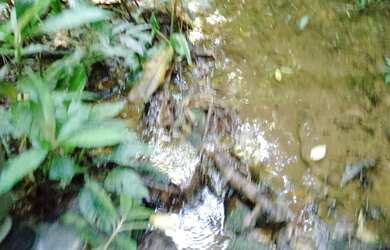 Imagem: A chácara possui 4.380m² de Área e está localizado em Juquitiba