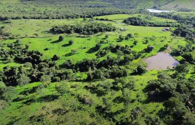 Imagem 2: Fazenda 32 alqueires a venda em Bela Vista de Goiás