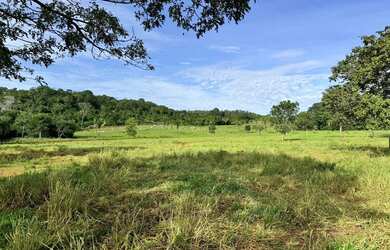 Imagem: A fazenda está localizado em Plano Diretor Sul, Palmas à venda