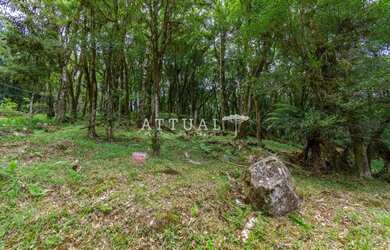 Imagem 5: TERRENO CONDOMÍNIO PINHEIRO GROSSO