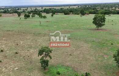 Imagem 8: Fazenda 57,3 alqueires 277,33 hectares São Miguel do Araguaia - Go