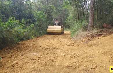 Imagem 11: Sítio / Chácara para Venda em Nova Petrópolis, Linha Imperial