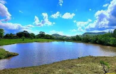 Imagem 8: Sítio / Chácara para Venda em Linha Nova, Linha Nova