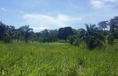 Imagem: A chácara possui 10m² de Área e está localizado em Goiás