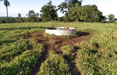 Imagem 13: Vendo Fazenda de 440 ha à 90 km Cuiabá - Rosário do Oeste MT(totalmene documenta e formada