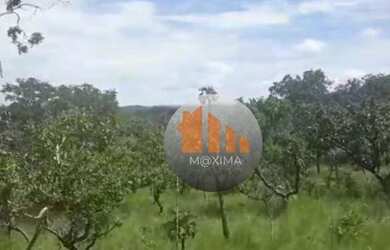 Imagem 6: Fazenda à venda, 1.480 alqueires por R$ 51.800.000 - Araguapaz/GO