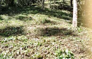 Imagem 14: Vendo Maravilhoso Terreno