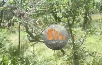 Imagem 8: Fazenda à venda, 1.480 alqueires por R$ 51.800.000 - Araguapaz/GO