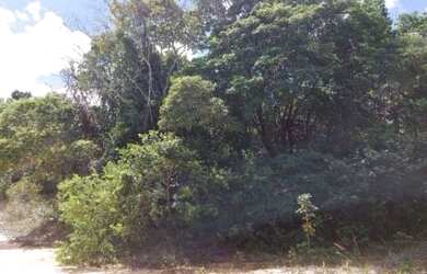 Imagem: O terreno possui 20.000m² de Área e está localizado em Arembepe