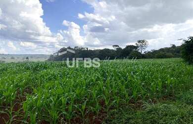Imagem 7: Fazenda/Sítio/Chácara para venda tem 288000 metros quadrados