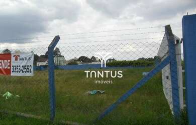 Imagem 10: Terreno à venda, 3682 m² por R$ 4.000.000,00 - Tingui - Curitiba/PR