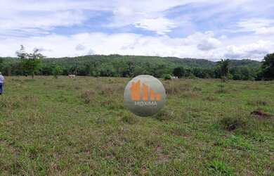 Imagem 5: Fazenda à venda, 100 alqueires por R$ 12.000.000 - Fazenda Nova/GO