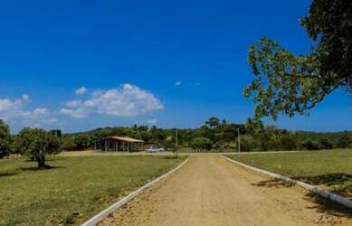 Imagem 2: TERRENO NA ILHA / LOTE / ILHA DE ITAPARICA / VERA CRUZ / TERRA BELA