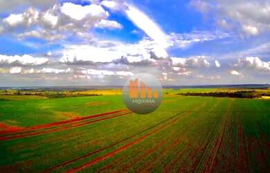 Imagem 13: Fazenda à venda, 644 alqueires por R$ 400.000.000 - Acreúna/GO