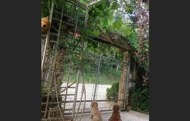 Imagem: A casa possui 2 Dormitórios, 2 Banheiros, 1 Vaga na garagem