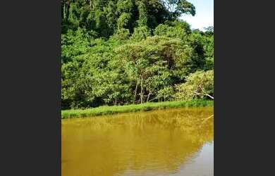 Imagem 5: 08 Alqueires, Rica em Água, Bela Vista Goiás- Goiás