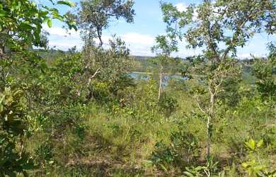 Imagem 3: Lote três marias. 7.500m² de Área