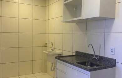 Imagem 8: Stilo Flex Samambaia 2Qts