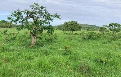 Imagem 2: Excelente Fazenda para cria e engorda de gado com 934 hectares à venda...