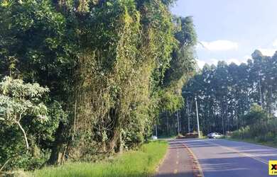 Imagem 2: Sítio / Chácara para Venda em Nova Petrópolis, Canto Ruckert