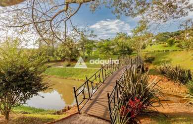 Imagem 7: Casa à venda, Colônia Dona Luíza, Ponta Grossa, PR