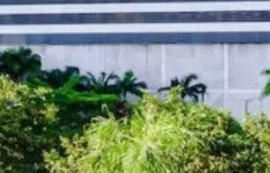 Imagem 15: APARTAMENTO - VILA GUIOMAR - SP