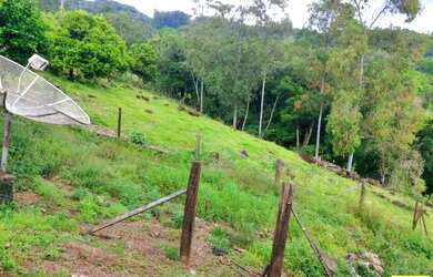 Imagem 4: Sítio / Chácara para Venda em Nova Petrópolis, Linha Riachuelo, 3 dormitórios,...