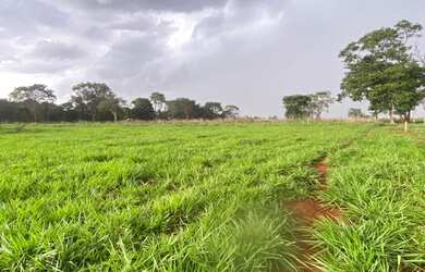 Imagem: A chácara está localizado em Goiânia, GO à venda por R$320.000