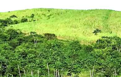 Imagem 4: Fazenda de 280 Tarefas pra fazer