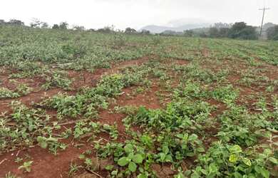 Imagem 10: Fazendinhas rurais em juatuba