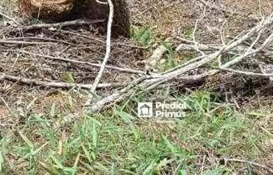 Imagem: O terreno possui 873m² de Área e está localizado em Ponte