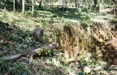 Imagem 7: Vendo Maravilhoso Terreno