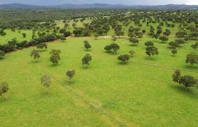 Imagem: A fazenda está localizado em Santa Terezinha de Goiás, GO