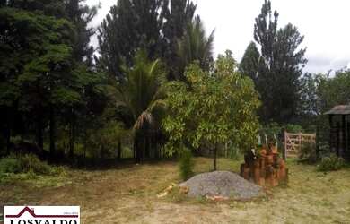 Imagem 4: SITIOMata de São João. 262m² de Área