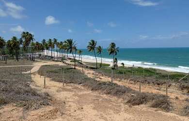 Imagem 2: Vendo excelente Terreno em Praia Bela - Pitibu/PB