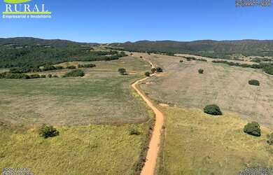 Imagem 3: Fazenda de 308 alqueires em Santa Cruz de Goiás