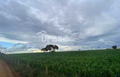 Imagem 5: Fazenda/Sítio/Chácara para venda tem 288000 metros quadrados