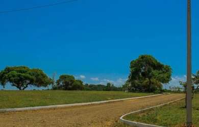 Imagem 3: TERRENO NA ILHA / LOTE / ILHA DE ITAPARICA / VERA CRUZ / TERRA BELA