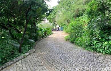 Imagem 2: Casa à venda 7 quartos 500m² por R$ 1.950.000,00 em Federação, Salvador/BA&gt