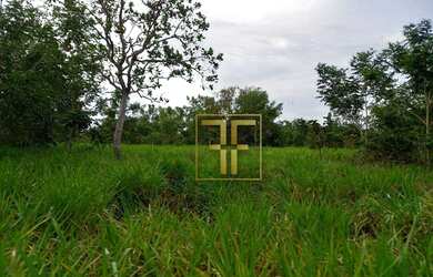 Imagem 5: Fazenda 254 Alqueires Mundo Novo, GO