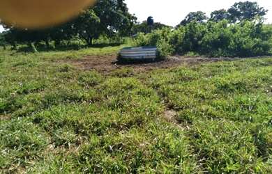 Imagem 16: Vendo Fazenda de 440 ha à 90 km Cuiabá - Rosário do Oeste MT(totalmene documenta e formada