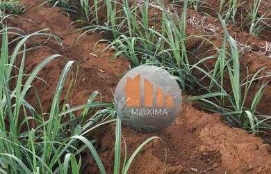 Imagem 12: Fazenda à venda, 644 alqueires por R$ 400.000.000 - Acreúna/GO