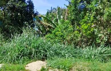 Imagem 3: Carmen Imóveis Vende Terreno Serra do Piloto